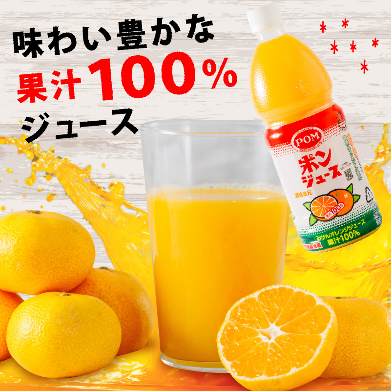 ポンジュース 4.8L ( 800ml × 6本 ) みかん ジュース みかんジュース オレンジジュース 800ml × 6本