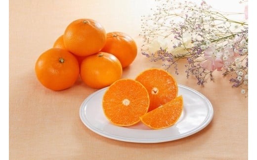 【先行受付】JAえひめ中央 ☆100セット限定☆JA特選品 せとか 赤秀 L～3L 約3kg 数量限定 おすすめ 人気