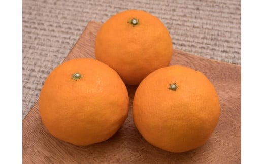 【先行受付】JAえひめ中央 ☆100セット限定☆JA特選品 カラマンダリン 秀品 S～2L 約5kg 数量限定 おすすめ 人気