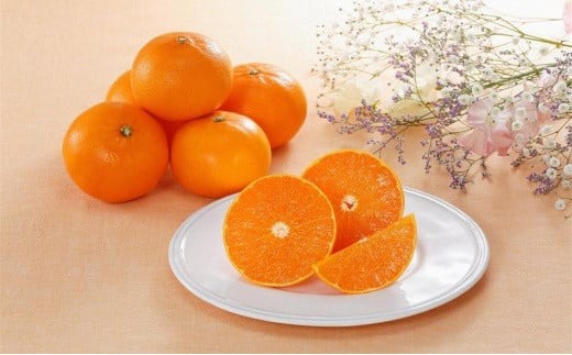 【先行受付】 JAえひめ中央 ★300セット限定★ JA特選品 せとか5kg 赤秀・青秀 いずれかL～3L