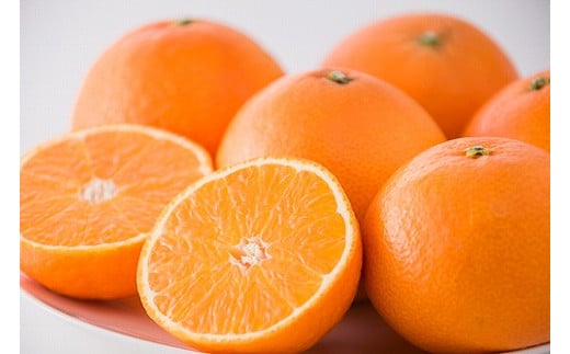 【11月下旬から発送】  紅まどんな1箱（5から6個入り）