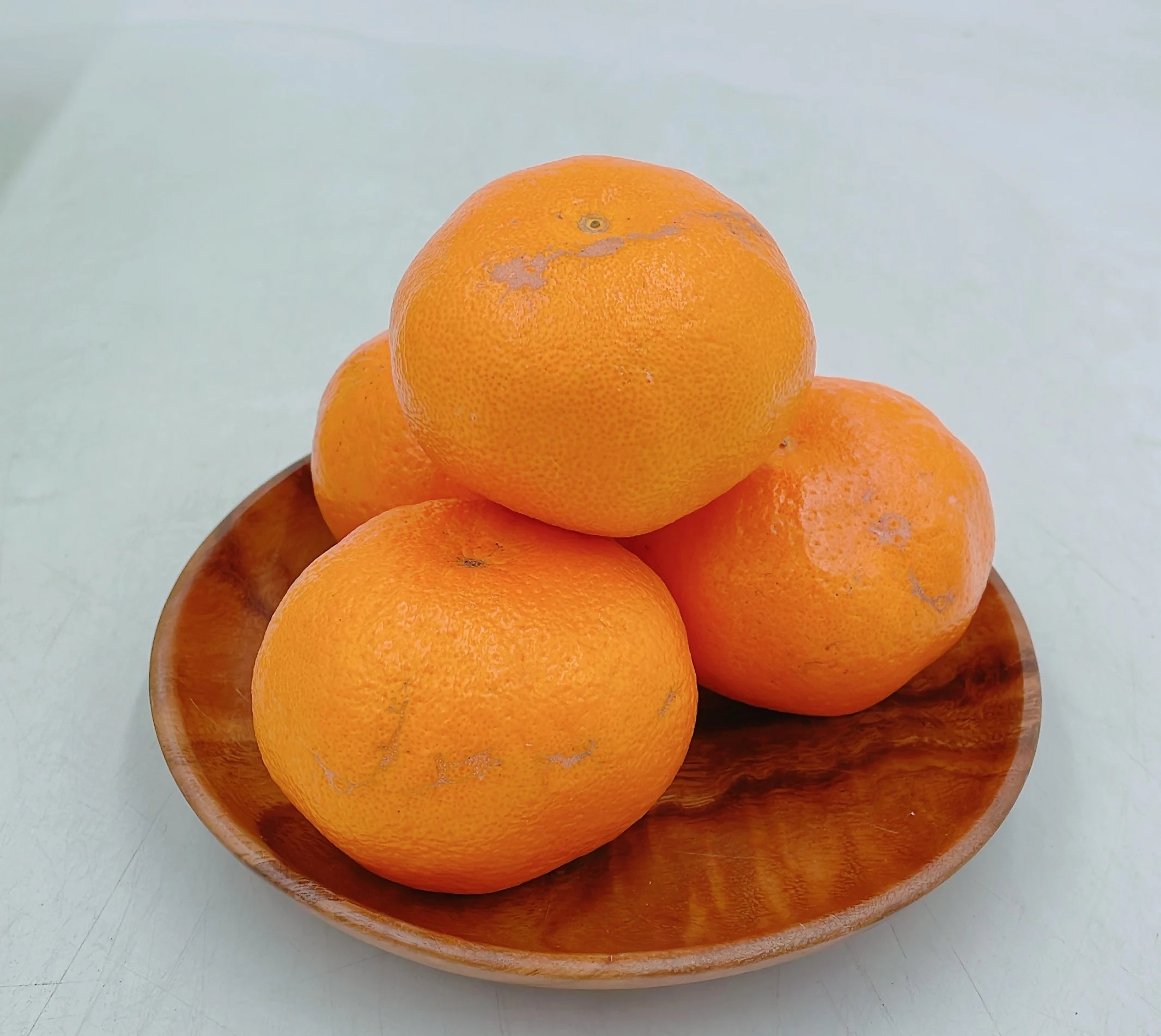 【順次発送中】松山市中島産 はるみ S～Lサイズ （約2.5kg）