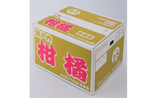【発送は1月中旬から】 松山市産 伊予柑 秀品 Lサイズ（10kg）【FA0231】