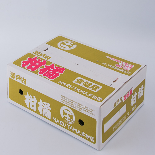 【発送は1月中旬から】 松山市産 伊予柑 秀品 Lサイズ（5kg）愛媛産 国産 愛媛みかん 愛媛蜜柑 愛媛ミカン みかん ミカン mikan 蜜柑 柑橘 フルーツ 果物 くだもの お取り寄せ 産地直送 数量限定 人気 おすすめ 愛媛県 松山市 フジ・アグリフーズ【FA0251】