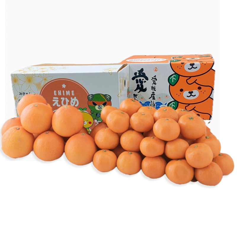 ～ ★発送は11月下旬～★「中島産紅まどんな」と「中島みかん」のセット