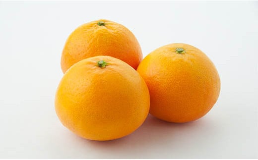 【発送は12月上旬から】松山市産 はれひめ M～2L （5kg）