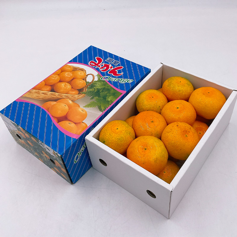 【先行予約】 8月下旬から発送 ハウスみかん 2SからSサイズ 1.0kg （愛媛県産 みかん 蜜柑 オレンジ 柑橘 果物 フルーツ 家庭用 お取り寄せ おすすめ 愛媛県 松山市 ） 1kg