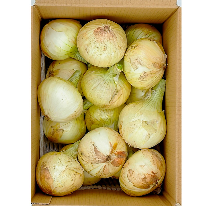 ＜3月中旬から発送＞松山市津和地島産 新玉ねぎ 4kg 3月中旬から発送