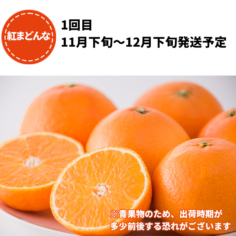 柑橘4品種お届け！満喫セット 3回 定期便 （ 紅まどんな / 甘平 / せとか ）