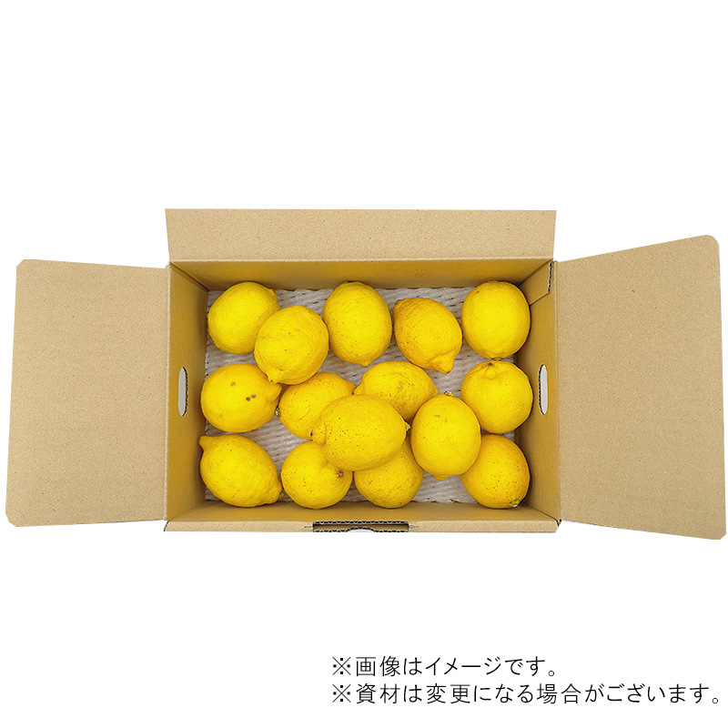 【11月上旬より発送】中島産 レモン M から L サイズ 約1.5kg
