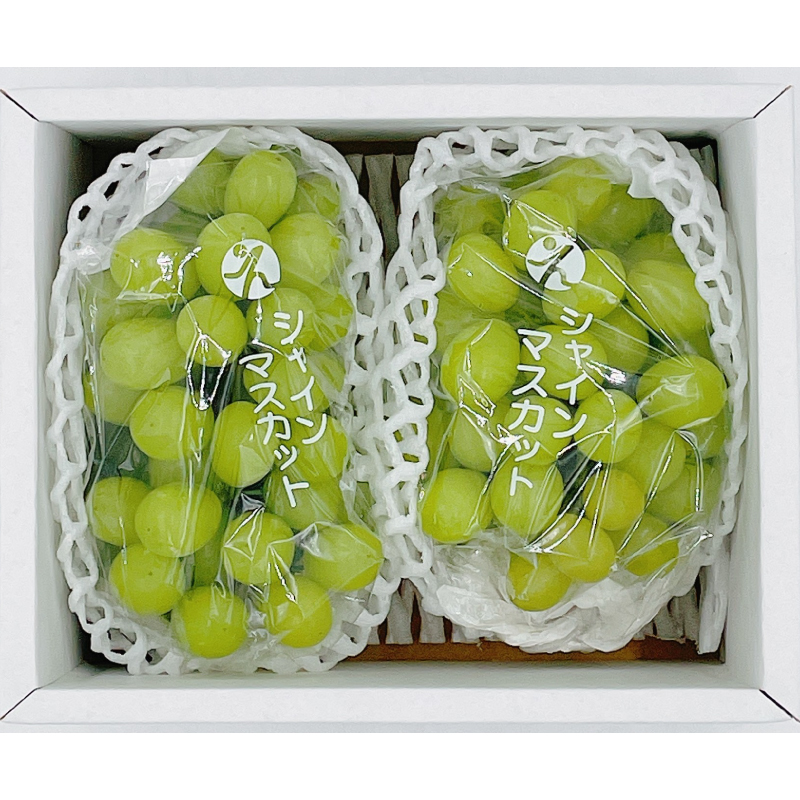 【先行予約】★8月下旬から発送★ 松山市産 シャインマスカット 2房（計900g） ぶどう 葡萄 フルーツ 果物 産地直送 松山市産 フジ・アグリフーズ 期間限定 先行予約 くだもの ブドウ 大粒 おすすめ 人気 旬