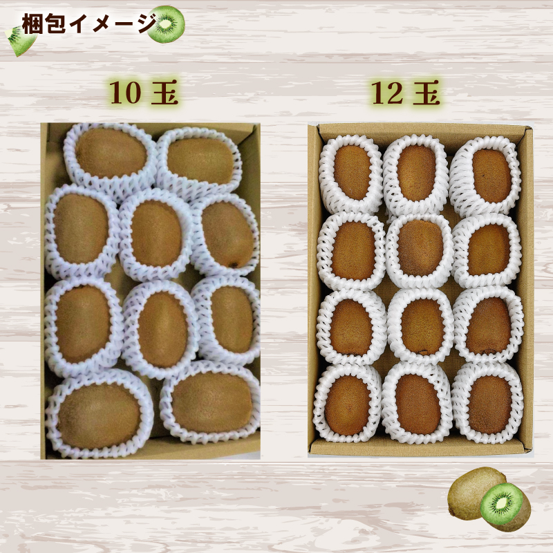 【2026年2月下旬から順次発送】グリーンキウイ 10～12玉入り （ 国産 愛媛キウイ フルーツ 果物 くだもの お取り寄せ 産地直送 数量限定 人気 おすすめ 愛媛県 松山市 送料無料 フジ・アグリフーズ）