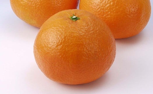 伊予柑 4kg 【2026年1月下旬から発送予定】  愛媛 中島産 果物 フルーツ 柑橘 みかん ミカン 愛媛 旬 希望の島