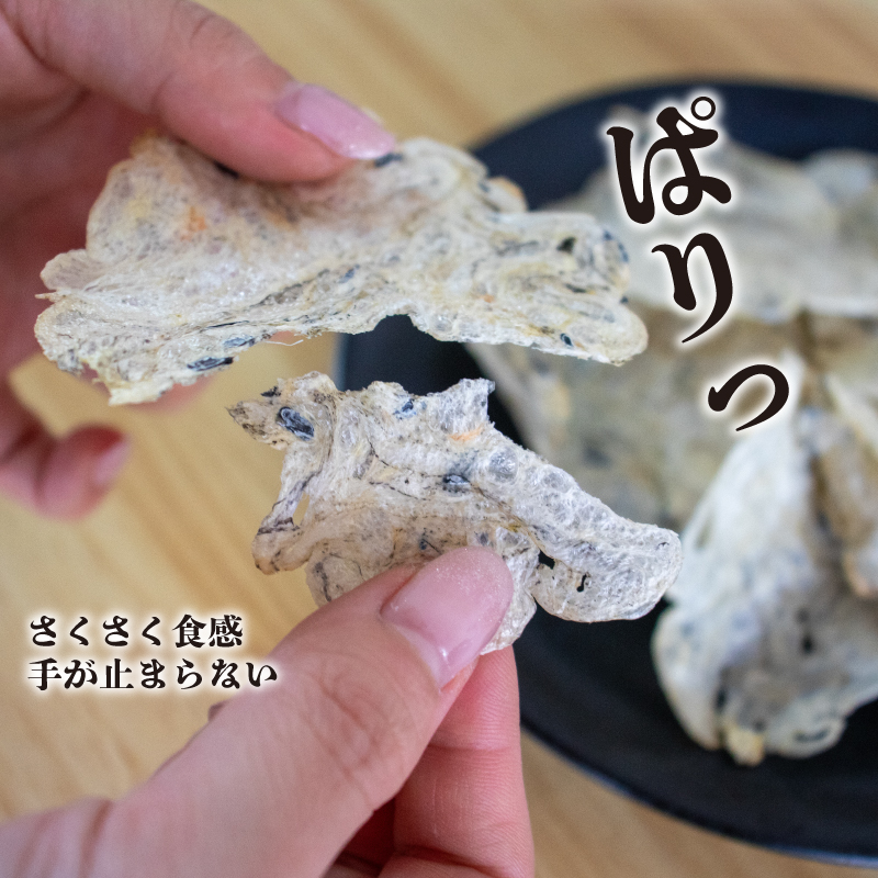 うす焼きちりめん10g×4個 愛媛県 松山市 無添加 せんべい 瀬戸内海 しらす ちりめん