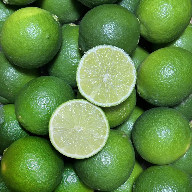 さわやか果実 ライム 約3kg | ライム みかん 柑橘 国産ライム ジュース カクテル スイーツ サラダ 愛媛 松山 北条 果物 フルーツ 産地直送 ライム 約3kg