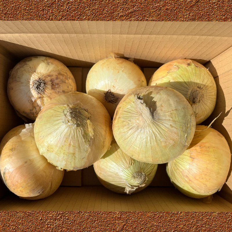 玉ねぎ 約 3kg 約3kg