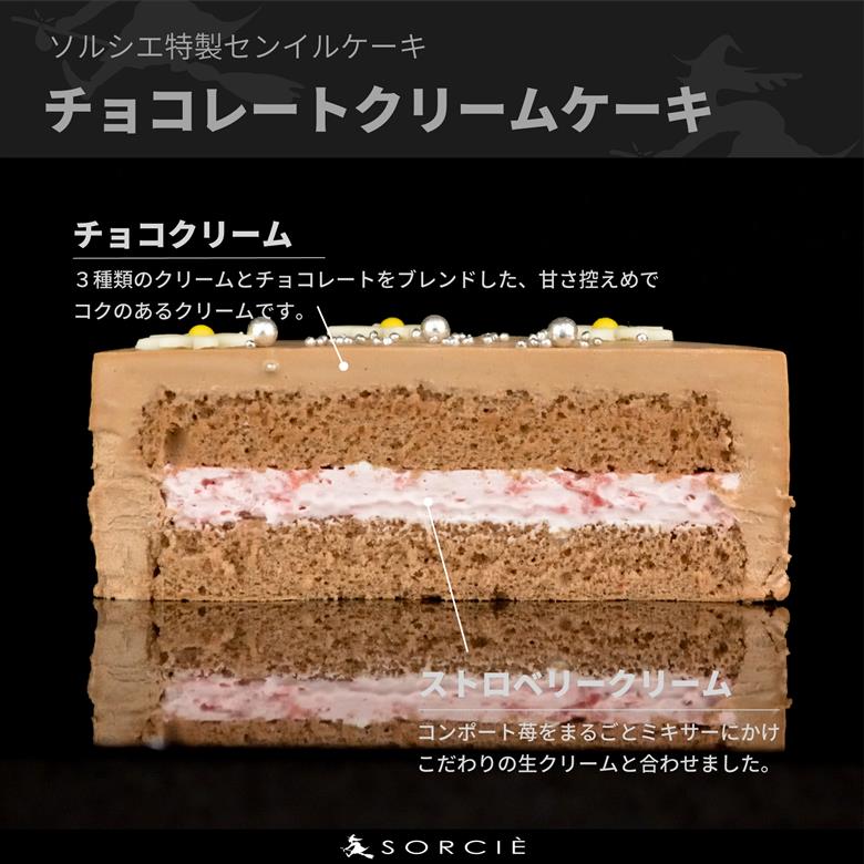 【着日指定可】クリスマスケーキ センイルケーキ  4号 直径13.5cm 2人～4人分 285g 【クリスマス飾り付】【チョコレートクリーム】 スイーツ ギフト | デザート ケーキ お菓子 洋菓子 冷凍 着日指定 お誕生日 誕生日 ギフト お祝い 愛媛県 松山市 チョコレートクリーム