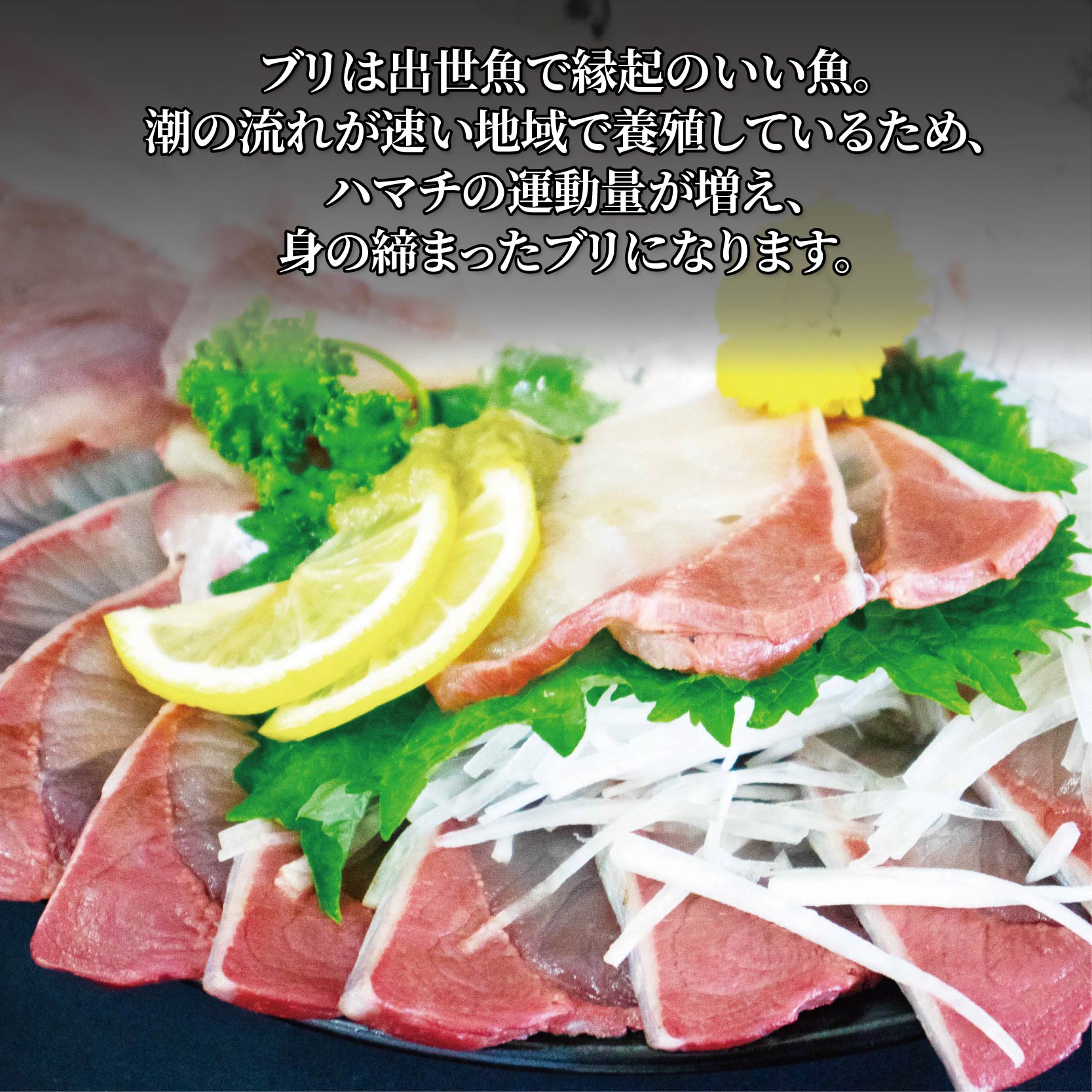 活じめ！神経抜き！ぶりフィレ半身1枚 鮮魚 刺身 お刺身 お刺し身 魚介 海の幸 冷蔵 ブリ 鰤 ぶり 愛媛県 松山市 半身1枚