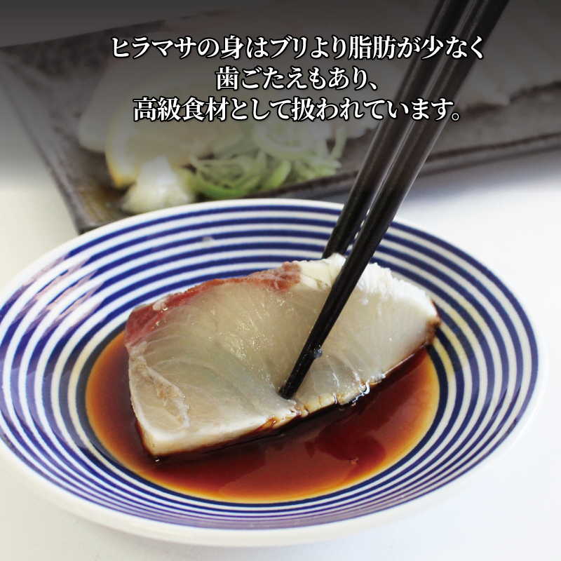 活じめ！神経抜き！ひらまさフィレ1尾分 鮮魚 刺身 お刺身 お刺し身 魚介 海の幸 冷蔵 ひらまさ ヒラマサ 愛媛県 松山市 1尾分