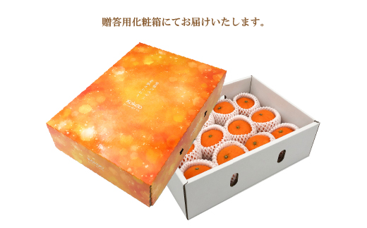 【1月中旬から発送】 甘平(かんぺい)＜秀品＞約3kg【贈答用化粧箱入り】