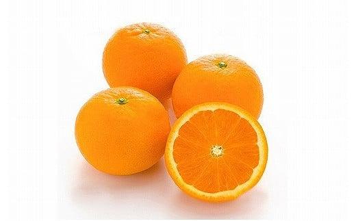 【2026年3月中旬から発送予定】みかん きよみ 家庭用(優品) 約2.5kg フルーツ 果物 みかん オレンジ 柑橘 愛媛県松山市 愛媛県 松山市 愛媛 松山 常温 常温便 常温配送 常温発送