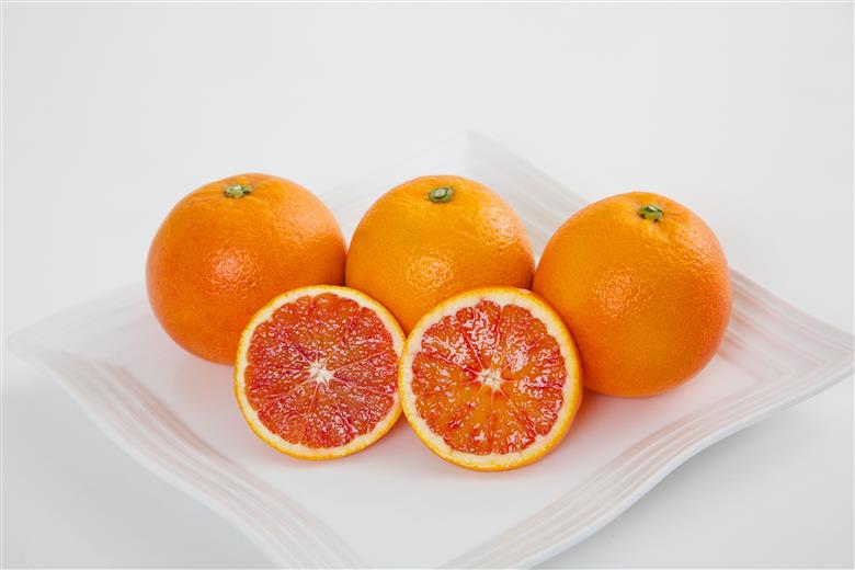 【先行予約】【2026年3月中旬から発送】ブラッドオレンジ 家庭用(優品) 約3kg