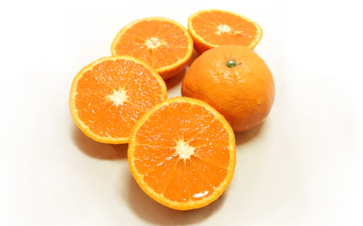 【2026年4月上旬頃から発送予定】カラマンダリン 家庭用(優品) 約3kg