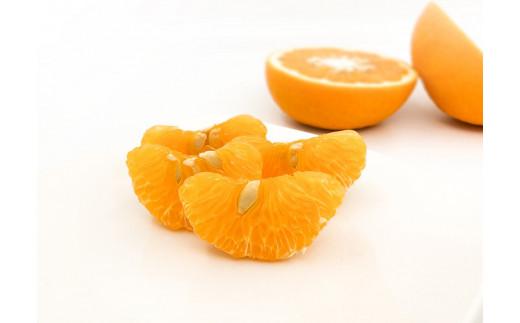 【2026年3月上旬から発送予定】甘夏　家庭用(優品)　10玉