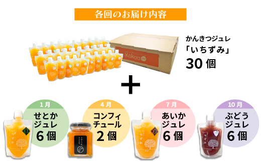 【定期便・年４回】かんきつジュレ定期便 30個×4回