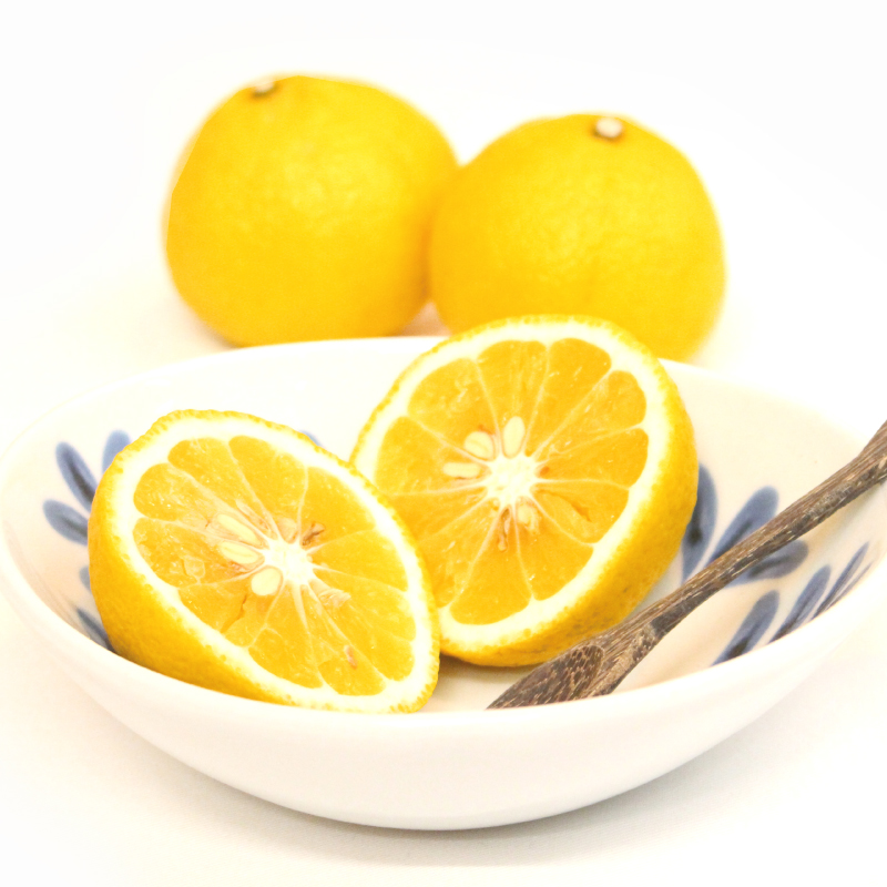 【先行予約】【2026年2月中旬から発送予定】はるか ＜秀品＞ 2.5kg (M-Lサイズ) ギフトBOX入り | みかん はるか 秀品 はるか 柑橘 贈答箱 愛媛県 松山市 ココオ Koko'o