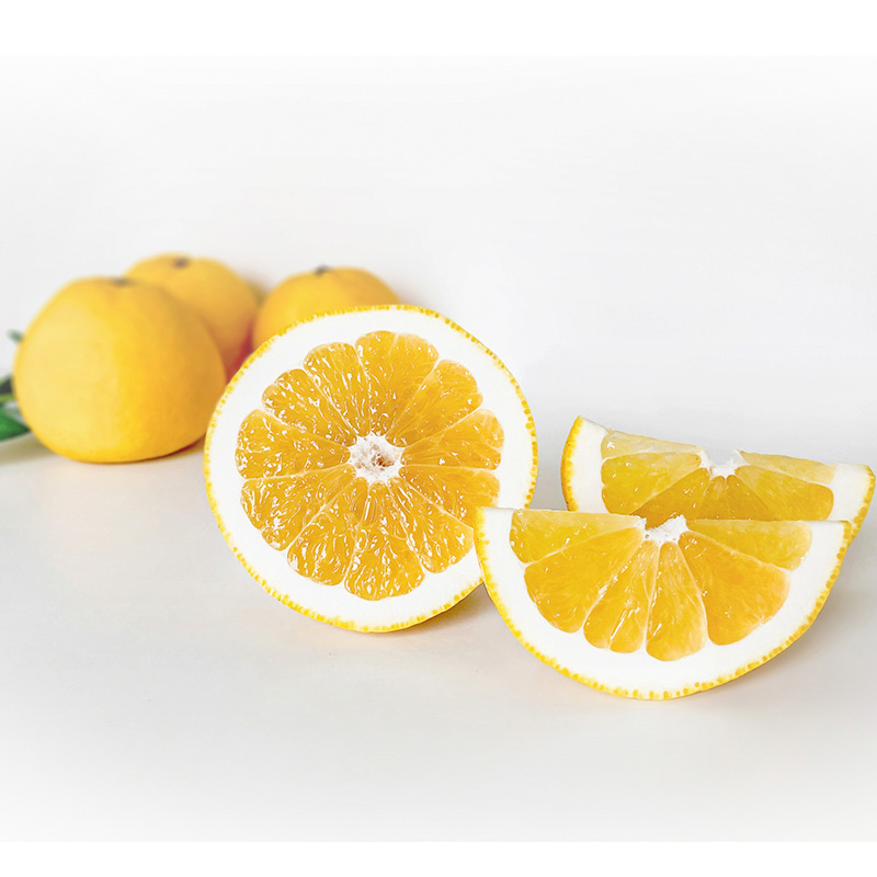  【2026年4月上旬頃から発送】 河内晩柑 秀品 ６玉 ギフトBOX入り 秀品 6玉