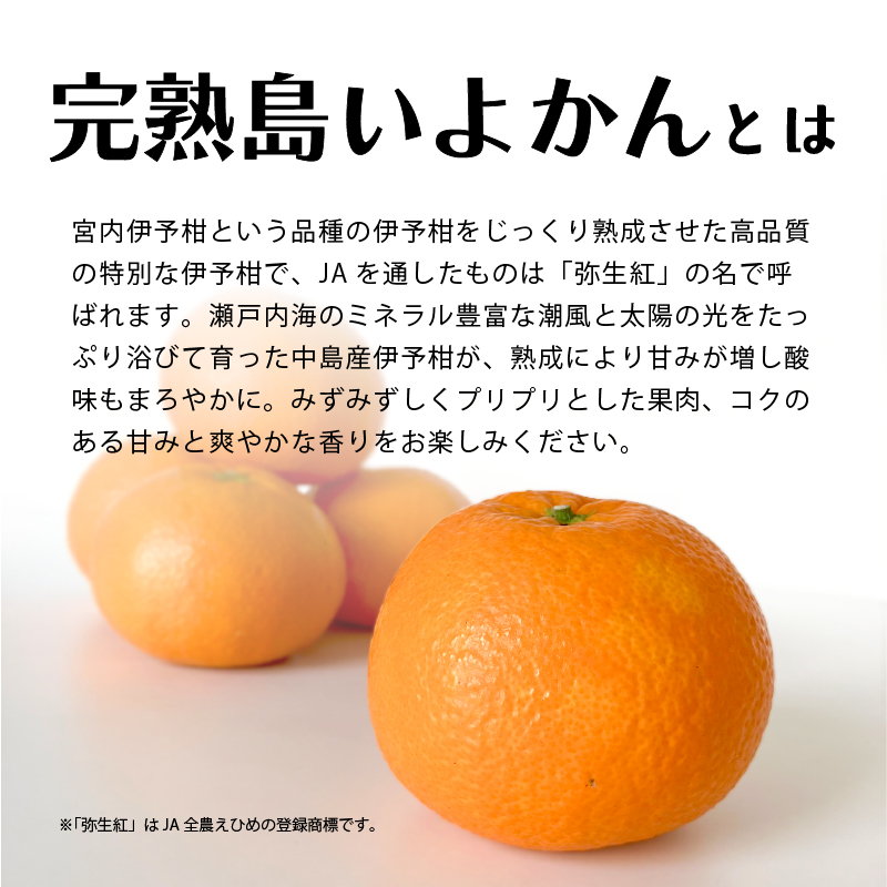 【先行予約】 完熟島いよかん (秀品) 約5kg | いよかん 伊予柑 柑橘 みかん 蜜柑 mikan 檸檬 オレンジ おれんじ かんきつ 【2026年2月上旬頃から発送予定】 愛媛県 松山市 ココオ Koko'o (秀品) 約5kg