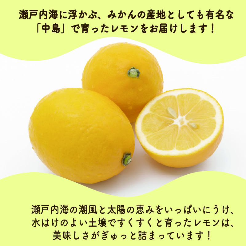 【先行予約】 瀬戸内海の島レモン (優品・家庭用) 3kg | レモン 檸檬 れもん フルーツ 【2026年3月中旬頃から発送予定】新鮮 柑橘 ふるーつ 果物 くだもの 農家直送 産地直送 期間限定 愛媛県 松山市 ココオ Koko'o