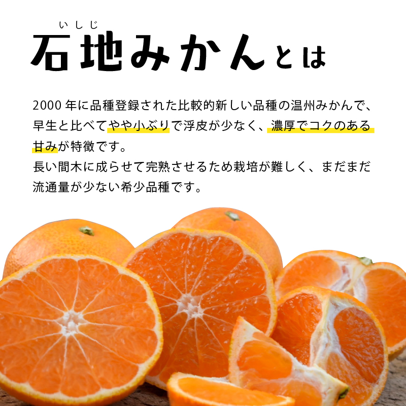 【先行予約】 瀬戸内海の島みかん (秀品・ギフトBOX入)【石地みかん】約3kg | 柑橘 みかん 密柑 オレンジ フルーツ 果物 愛媛県 松山市 ココオ Koko'o  秀品･ギフトBOX入 / 約3kg