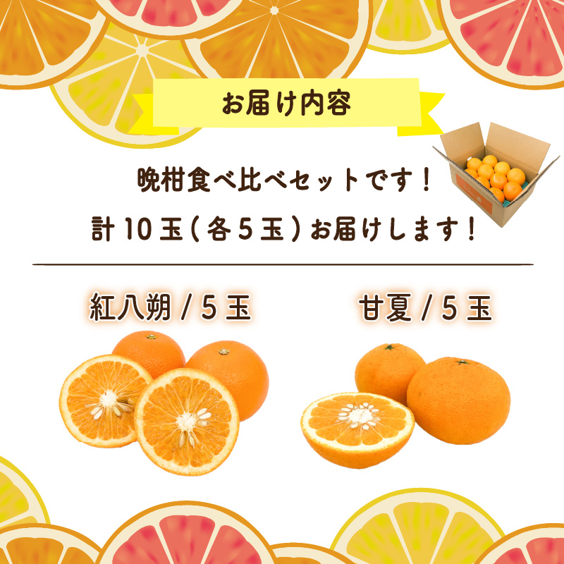 【先行予約】晩柑食べ比べセット～紅八朔&甘夏～(各5玉) | 柑橘 かんきつ 晩柑 紅八朔 甘夏 フルーツ 果物 期間限定 【2026年3月中旬頃から発送予定】愛媛県 松山市 ココオ Koko'o