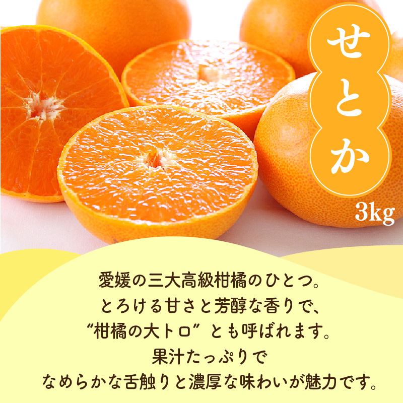 【先行予約】 せとか・完熟島いよかん 食べ比べセット / せとか 3kg 完熟島いよかん 5kg | 柑橘 みかん 蜜柑 mikan かんきつ  愛媛県 松山市 ココオ Koko'o