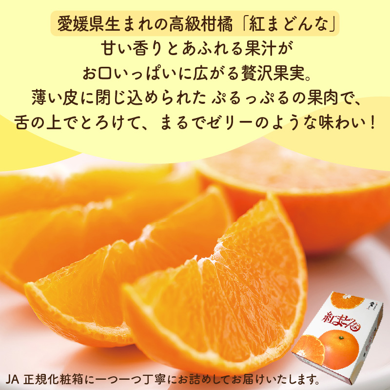 【2026年1月発送予定】 紅まどんな・石地みかん食べ比べセット 【紅まどんな 約3kg】【石地みかん(家庭用・優品) 約5kg】 | 柑橘食べ比べ みかん オレンジ 紅マドンナ 愛果 ミカン mikan 柑橘 かんきつ あいか フルーツ たべくらべ  新鮮 柑橘 ふるーつ 果物 くだもの 期間限定 愛媛県 松山市 ココオ Koko'o