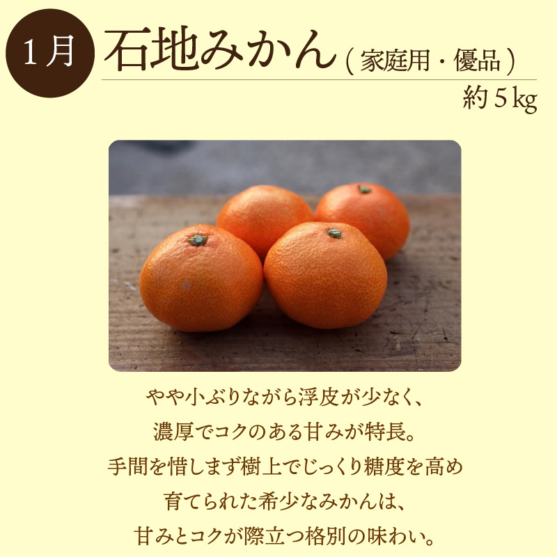 【全3回定期便】瀬戸内みかん 島便り | 石地みかん 完熟島いよかん カラマンダリン 温州みかん セット ていきびん 定期便 柑橘 みかん 蜜柑 mikan かんきつ  愛媛県 松山市 ココオ Koko'o
