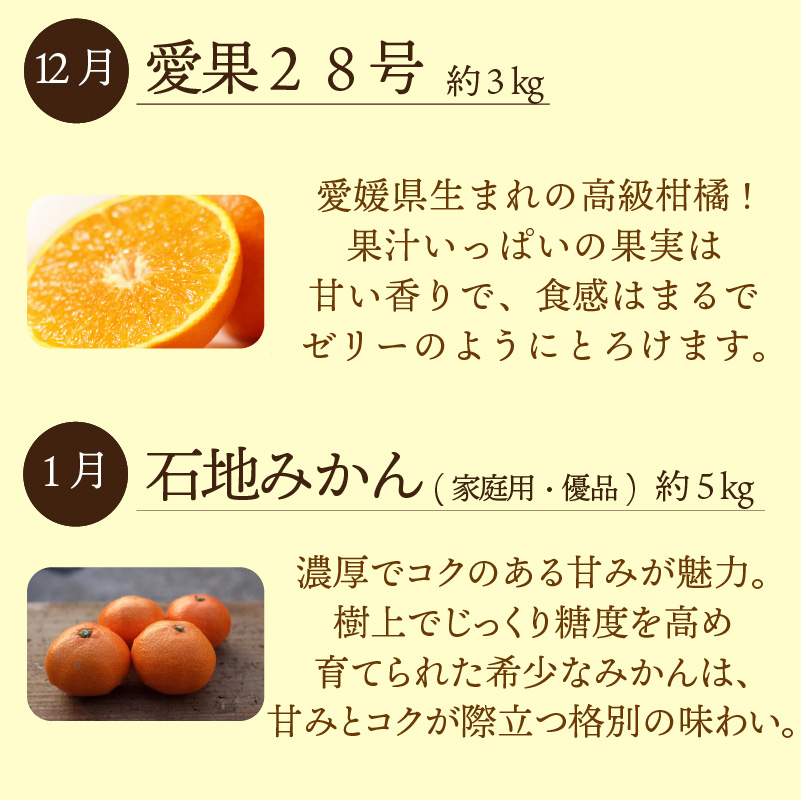 【全4回定期便】 農家の一押し！ セレクト定期便 | 愛果28号 石地みかん せとか 完熟島いよかん 温州みかん セット ていきびん 定期便 紅まどんな 紅マドンナ 同品種 あいか 柑橘 みかん 蜜柑 mikan かんきつ  愛媛県 松山市 ココオ Koko'o