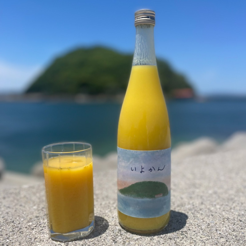 みかんジュース3本セット みかんジュース3本セット