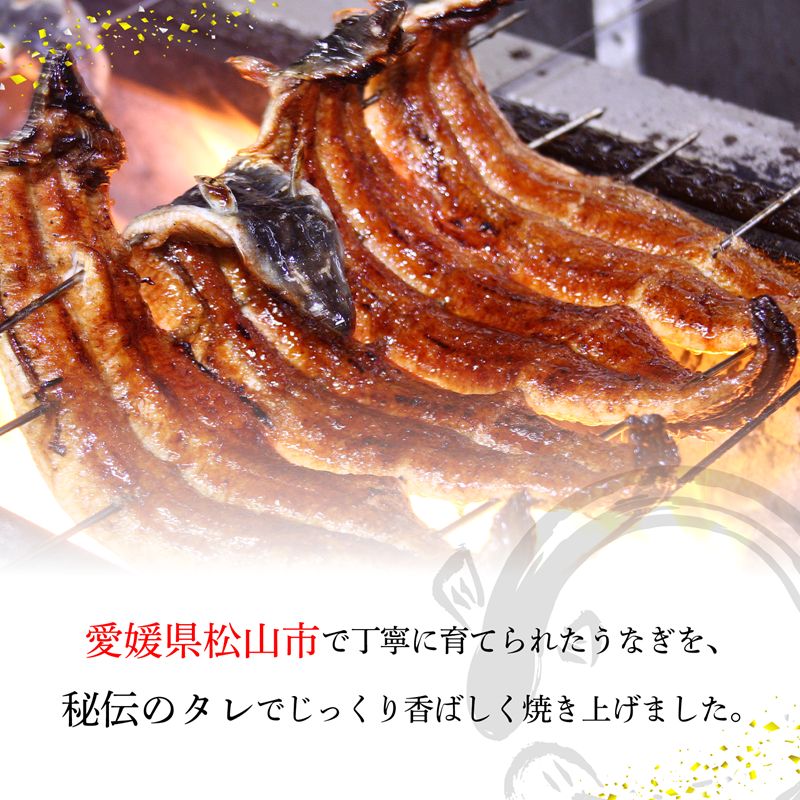 【容量選択可】〈うなぎ屋かわすい〉愛媛県松山市養殖うなぎを使用！うなぎ蒲焼 1本～5本 (1尾：120～149g) ｜うなぎ ウナギ 鰻 蒲焼き 国産 お取り寄せ グルメ ふるさと納税 簡単調理 土用丑の日 ギフト 贈り物 お中元 お歳暮 母の日 父の日 かわすい 川口水産 愛媛県 松山市 5本