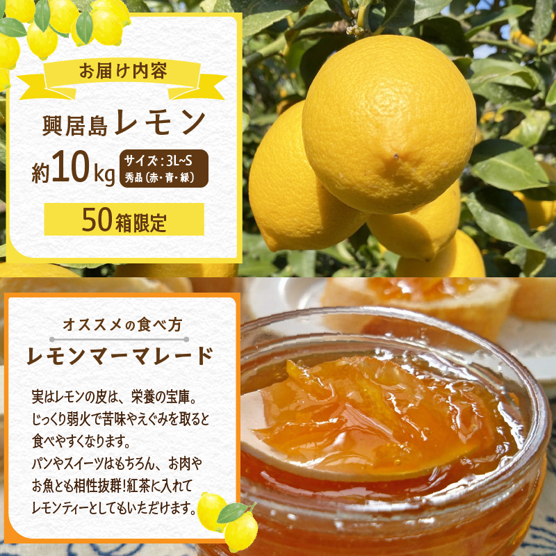 興居島レモン 10kg  【2026年4月上旬より発送】 | 国産 愛媛 れもん レモン lemon 青果 フルーツ 果物 くだもの 期間限定 数量限定 人気 おすすめ 愛媛県 松山市 ブランド 興居島 送料無料