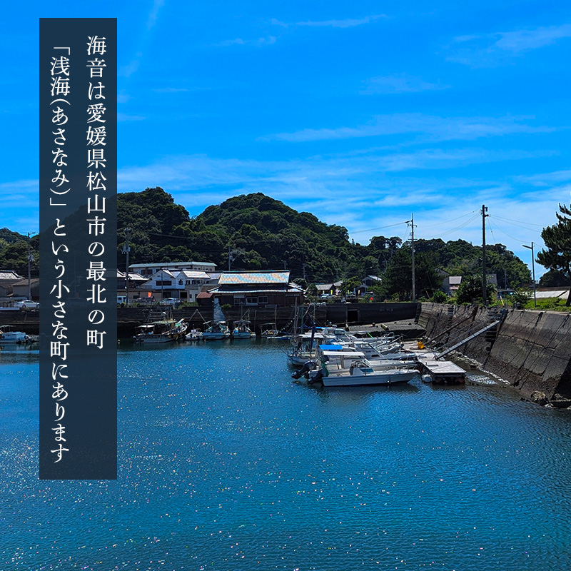 愛媛一棟貸し 風早邸海音 宿泊補助券 3万円分 | 30000円分 宿泊利用券 30000円分