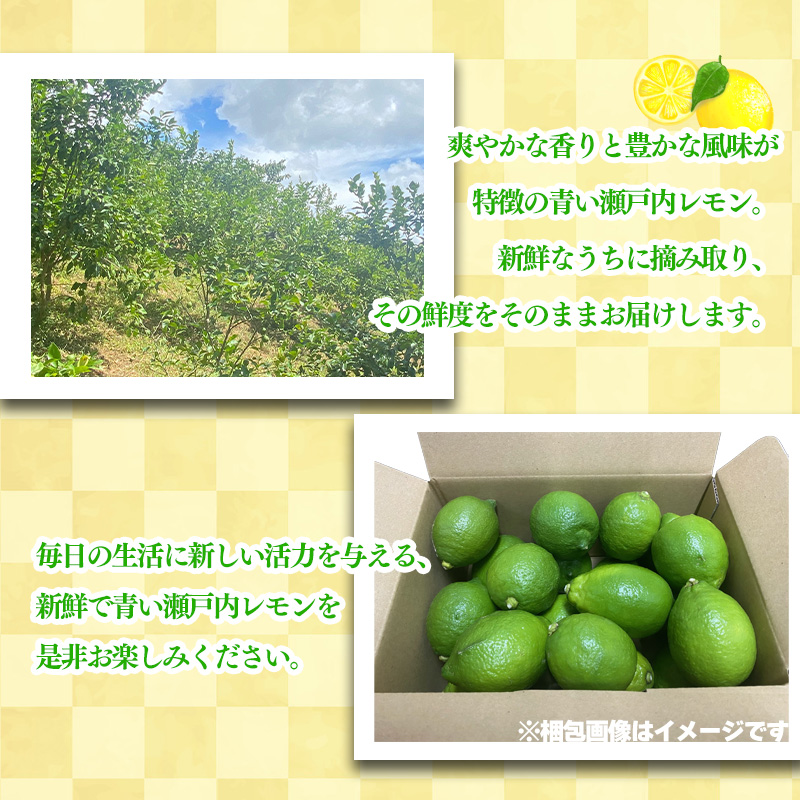 【2025年10月より順次発送】グリーンレモン 約1kg ｜果物 くだもの フルーツ レモン れもん 檸檬 柑橘 防腐剤不使用 ワックス不使用 グリーンレモン ぐりーんれもん 国産 愛媛県産 国産レモン グリーンレモン 約1kg