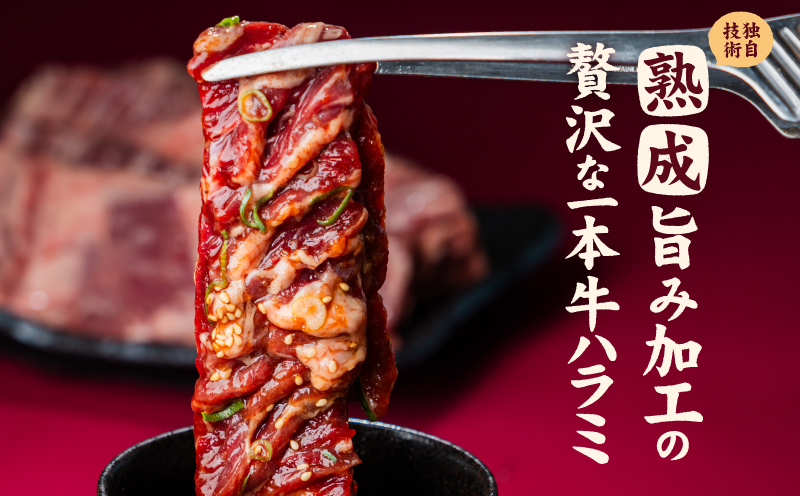 牛ハラミ ブロック 3kg タンブリング加工 牛ハラミ はらみ 牛肉 肉 個包装 冷凍 焼肉 焼き肉 BBQ バーベキュー ステーキ 丼物 簡単調理 炒め物 家庭用 業務用 人気 お取り寄せ 愛媛県 松山市 3kg ¥18000