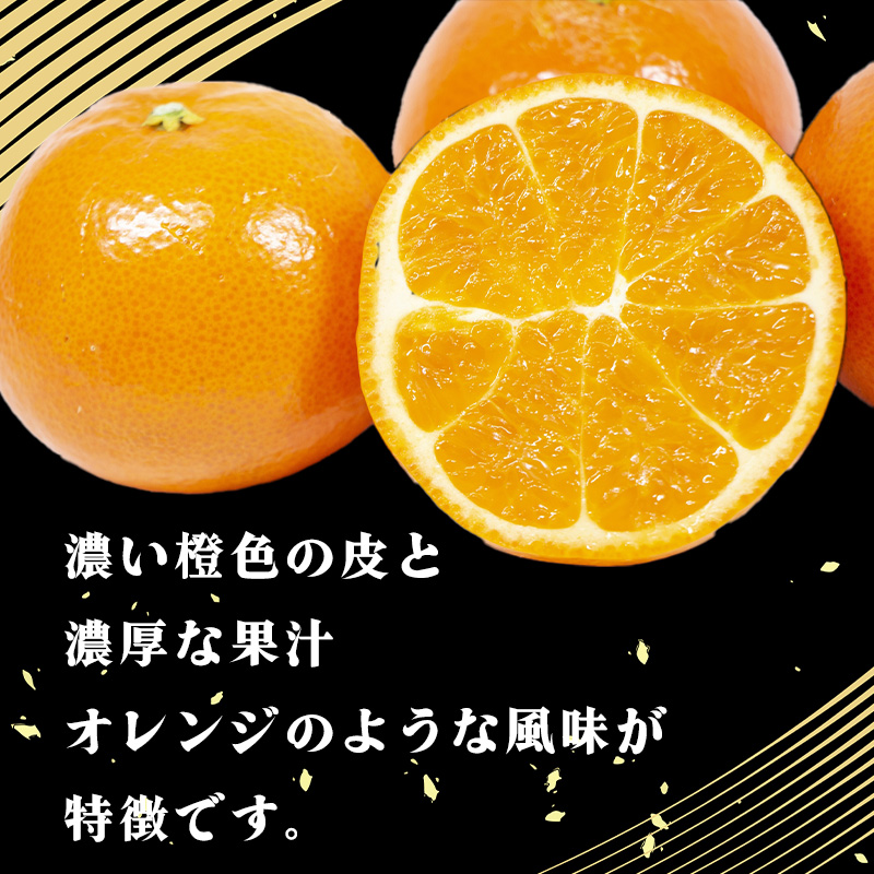 みはや 家庭用2kg 新品種 紅いダイヤ 愛媛中島産 2kg