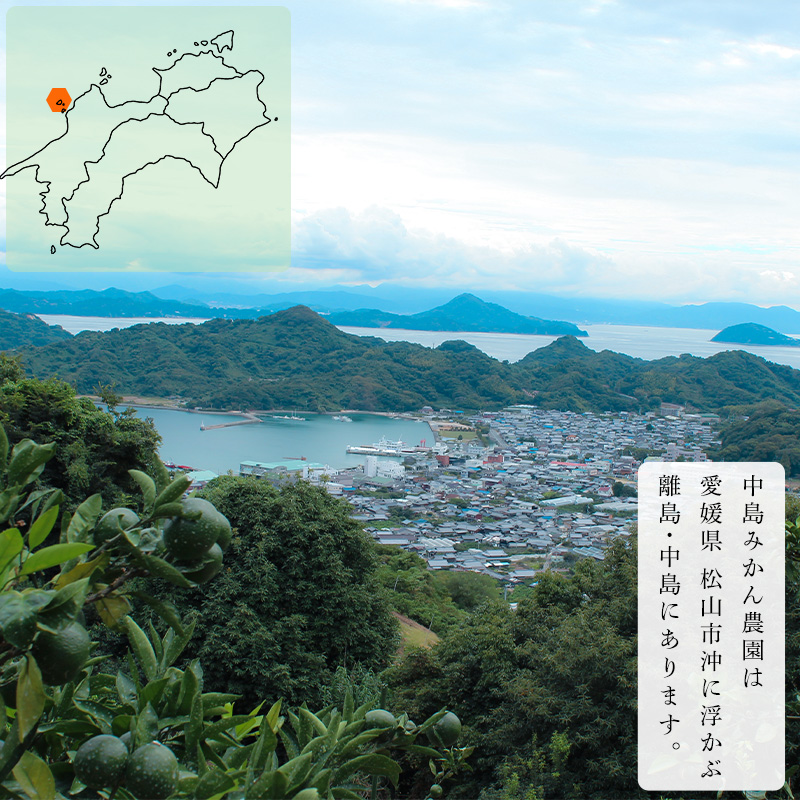 【2026年1月下旬から発送予定】天草 小玉 5kg 愛媛県 中島産 5kg ¥14,000