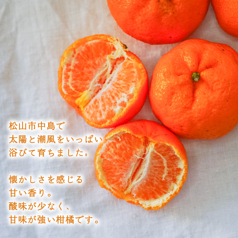 【2026年2月中旬から順次発送】低農薬栽培ポンカン 5kg | 数量選択可 ぽんかん ポンカン みかん ミカン 蜜柑 柑橘 数量限定 愛媛県産 松山市 中島 低農薬 愛媛県 5kg ¥10,000