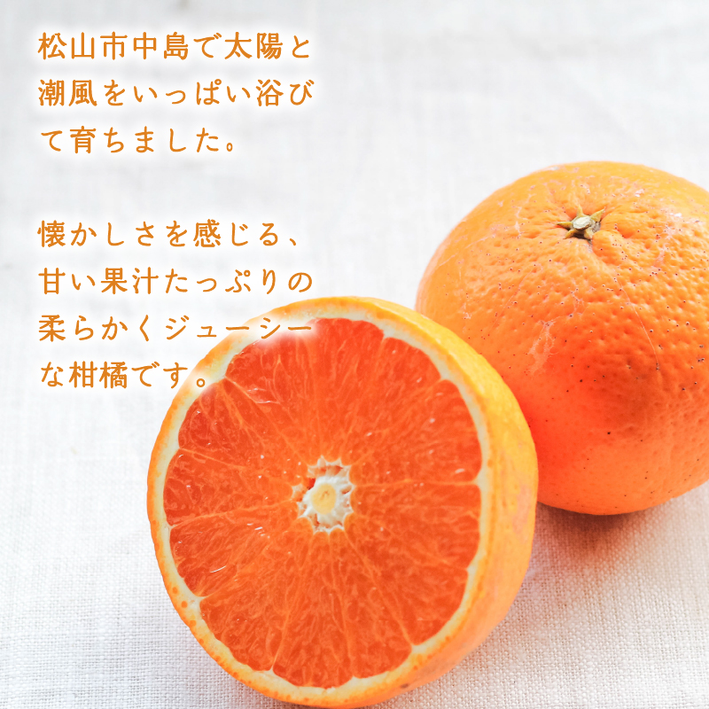 【2月下旬より発送】低農薬栽培清見 5kg 清見 5kg