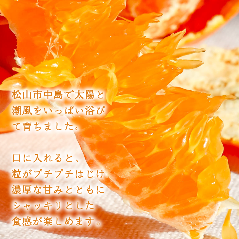 【2026年1月末より発送】 甘平 2kg | 数量選択可 みかん ミカン 蜜柑 柑橘 数量限定 愛媛県産 松山市 中島 愛媛 ふるさと納税